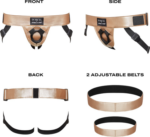 Curious Harness - Gold
